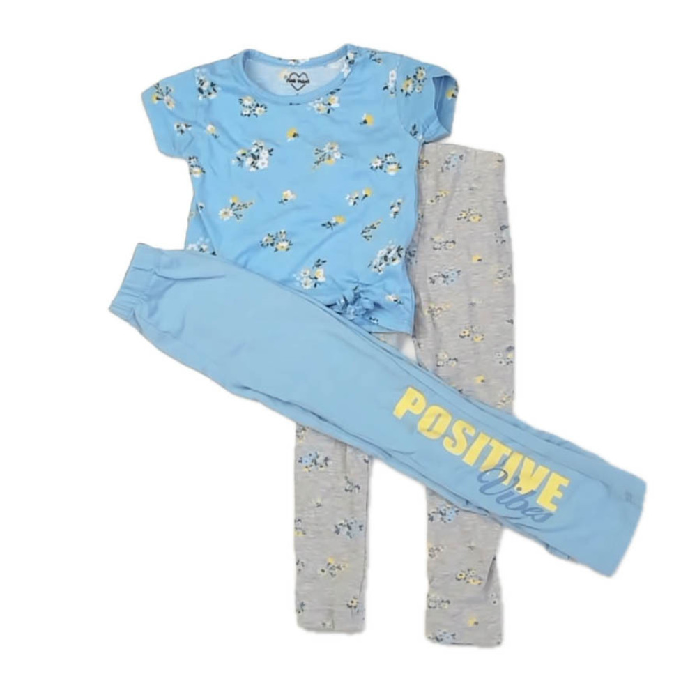 Pink Velvet Girls Blue Floral Apparel Sets size: 3T